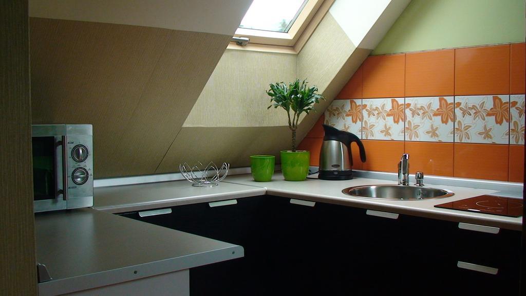 Apartamenty Grapa Szum Rzeki Parking Free Wisła Habitación foto