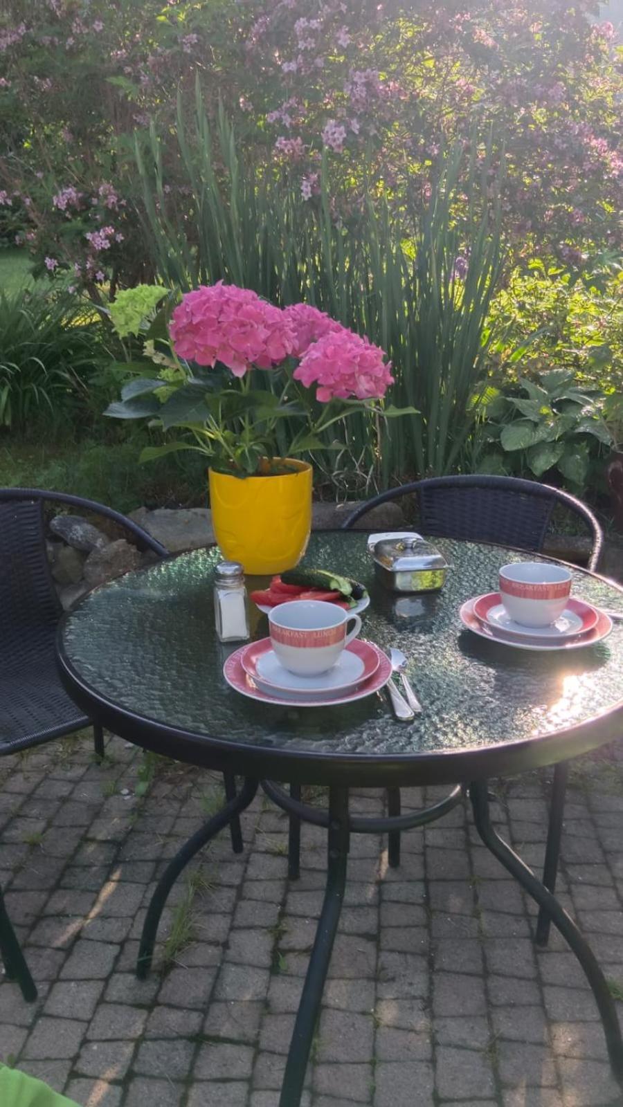 Apartamenty Grapa Szum Rzeki Parking Free Wisła Exterior foto