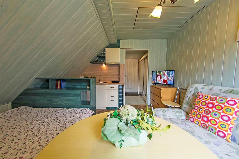 Apartamenty Grapa Szum Rzeki Parking Free Wisła Exterior foto