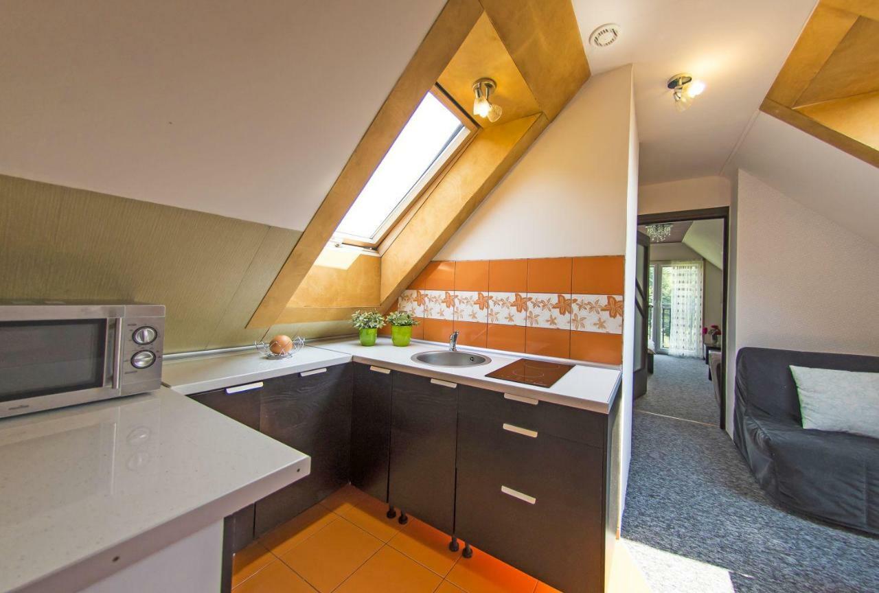 Apartamenty Grapa Szum Rzeki Parking Free Wisła Exterior foto