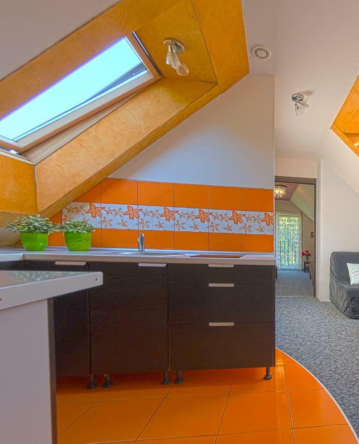 Apartamenty Grapa Szum Rzeki Parking Free Wisła Exterior foto